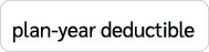 plan year deductible