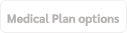 Medical Plan options 