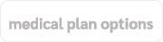 medical plan options